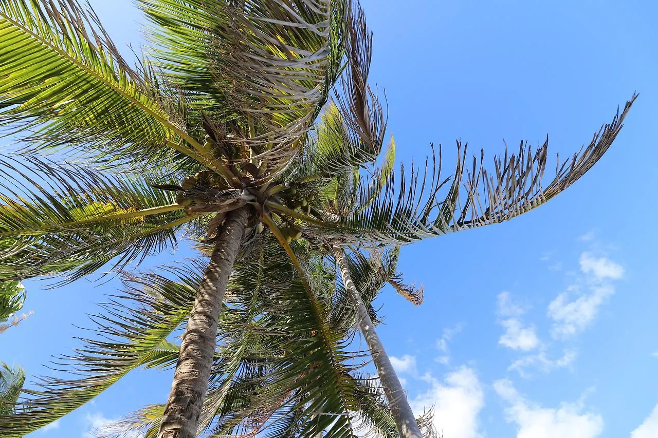 ****  Los Amigos Beach Hotel Boutique Tulum Mexico
