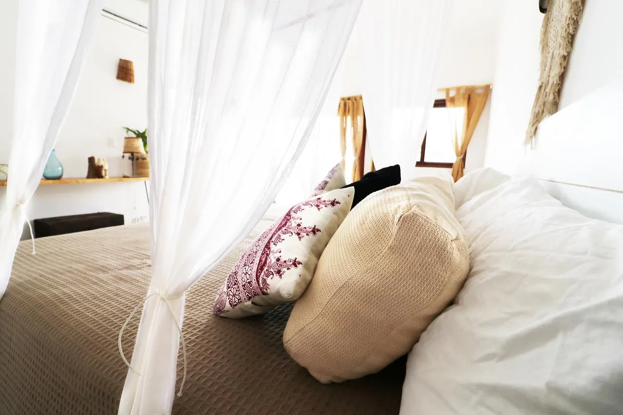 Los Amigos Beach Hotel Boutique Τουλούμ Μεξικό