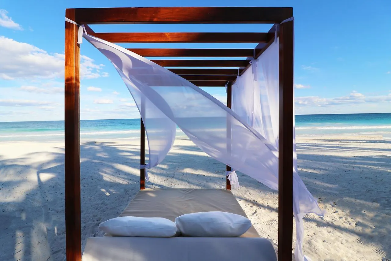 Los Amigos Beach Hotel Boutique Τουλούμ