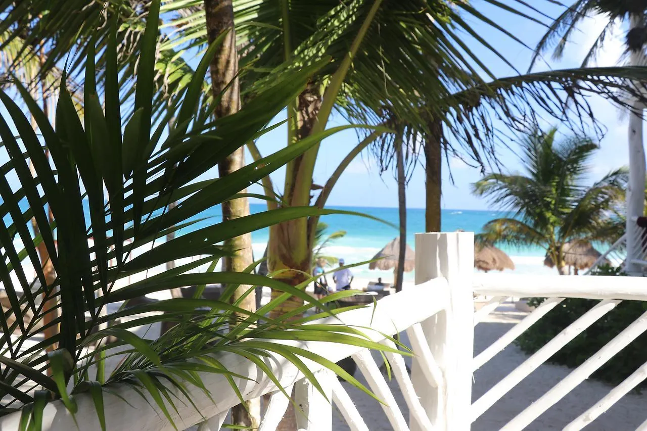 Los Amigos Beach Hotel Boutique Τουλούμ