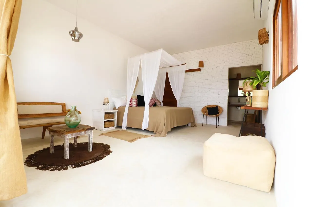 Los Amigos Beach Hotel Boutique Τουλούμ