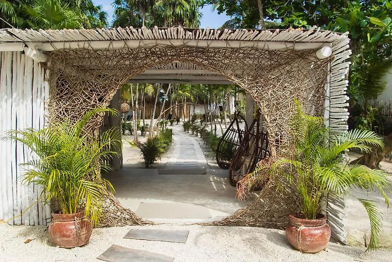 Los Amigos Beach Hotel Boutique Τουλούμ